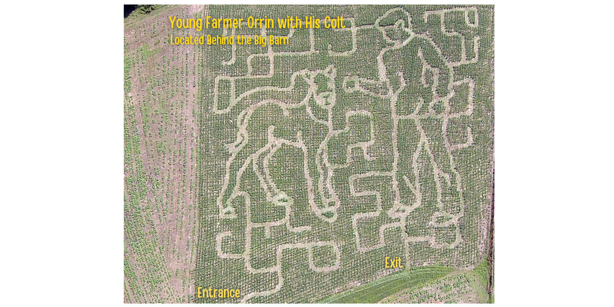 2021 maze