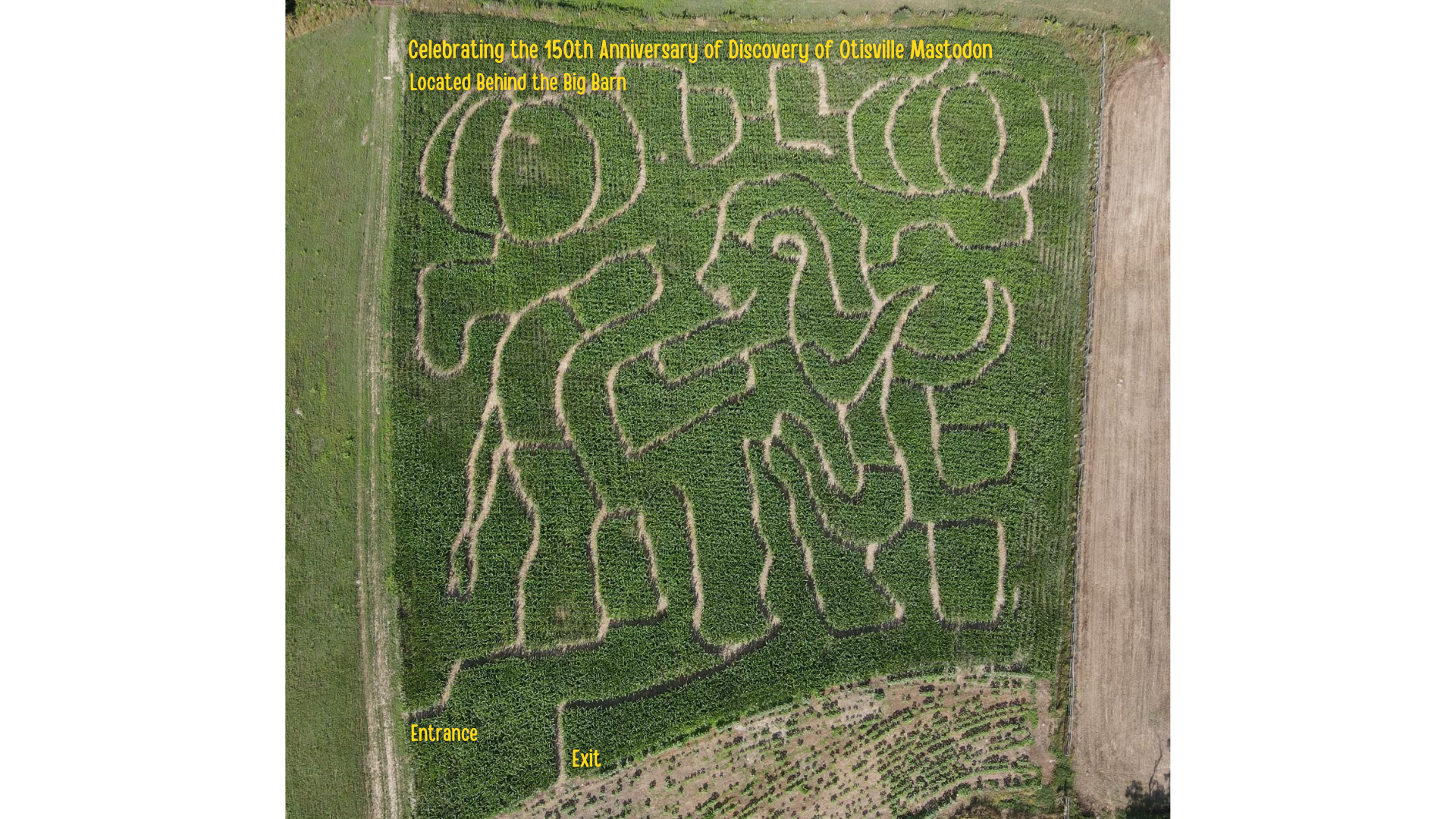 2022 maze