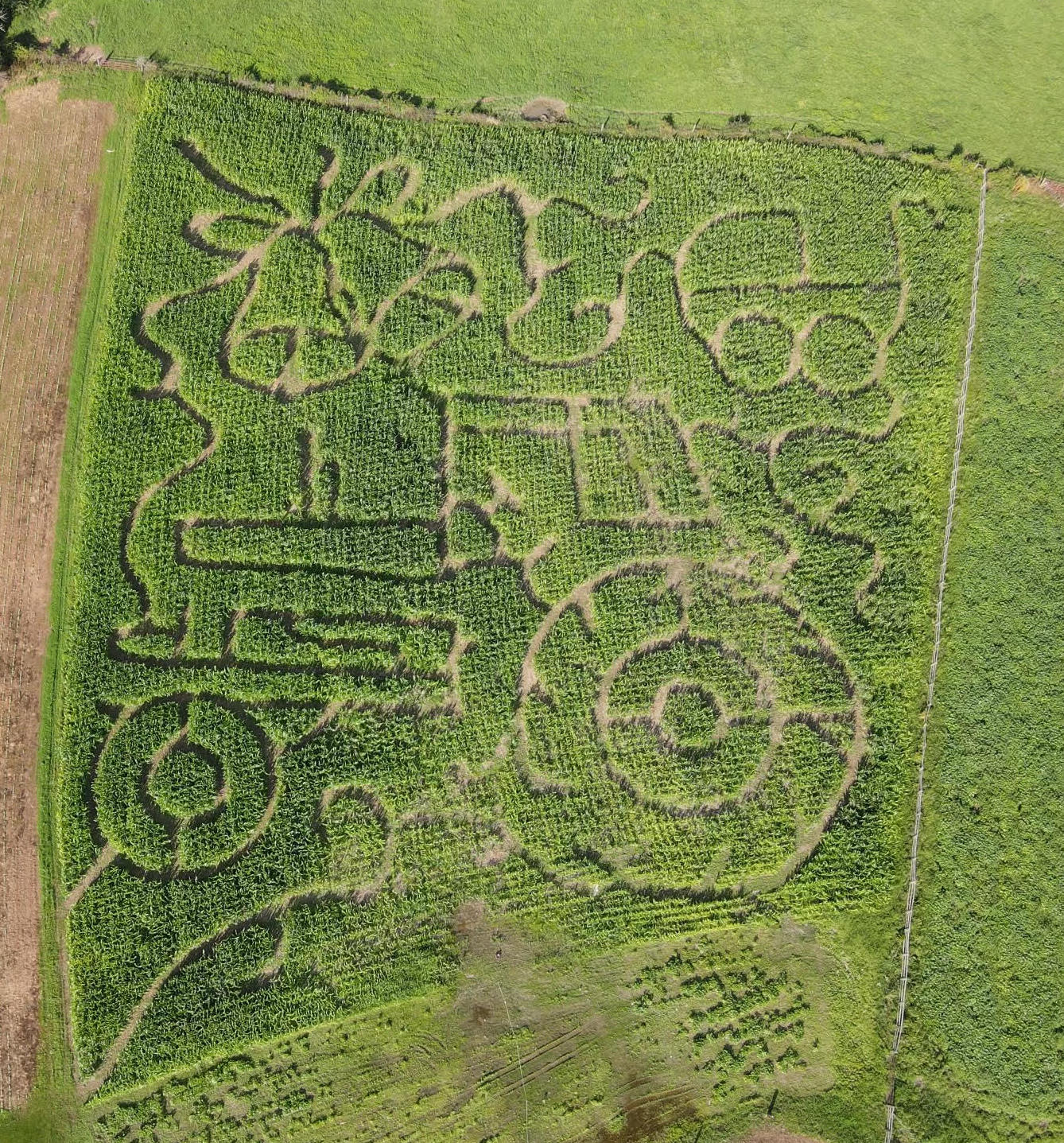 2023 maze