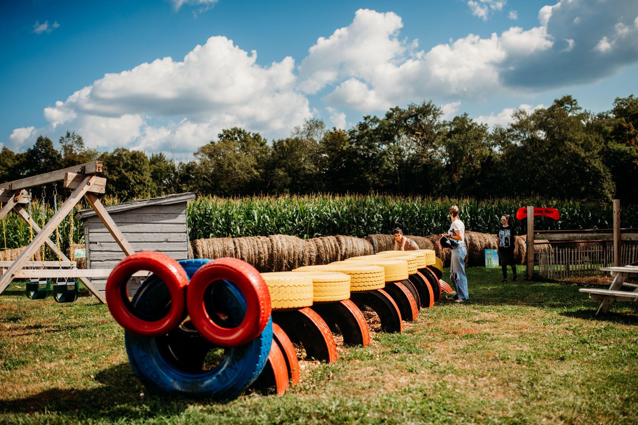 The caterpillar crawl of painted tires with the cornfield behind it
